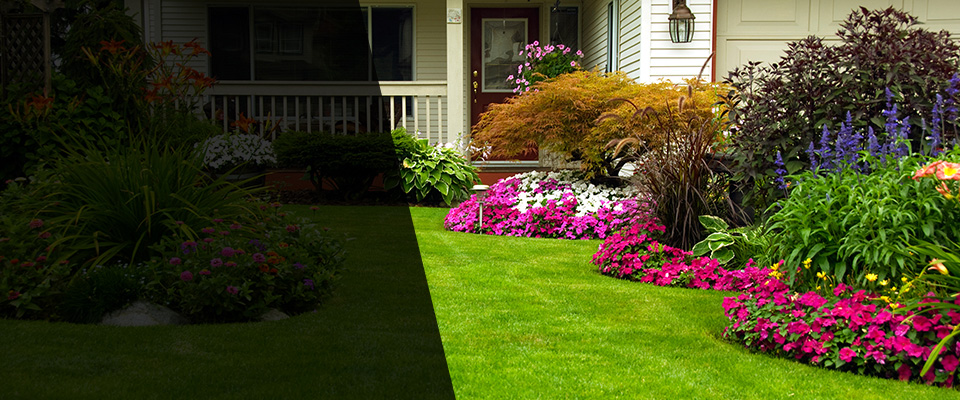 Lakewood Landscapers